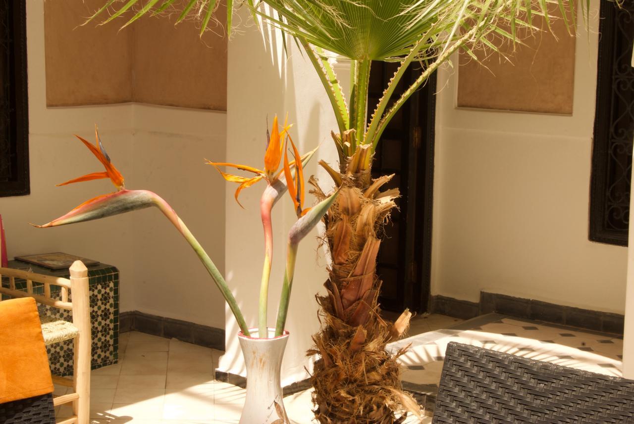 Riad Rockech Marrakesh Bagian luar foto